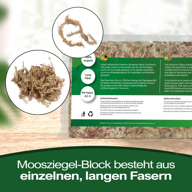 Dried Sphagnum moss brick from Chile 200g